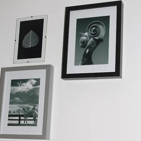 Appartamento Oina Studio 3 Cluj-Napoca